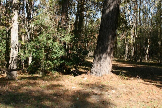 37 Robin Hood, Cleveland, TX 77327 - photo 13