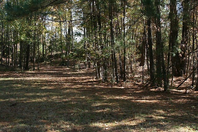 37 Robin Hood, Cleveland, TX 77327 - photo 15