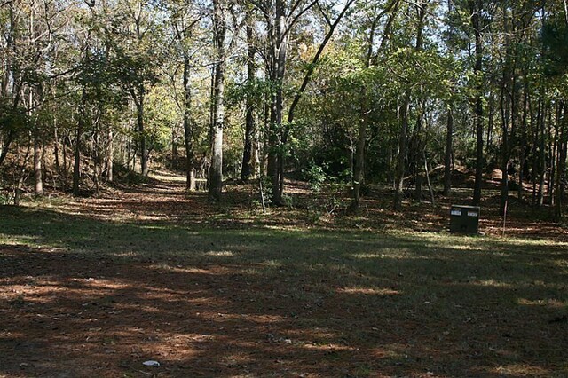 37 Robin Hood, Cleveland, TX 77327 - photo 16