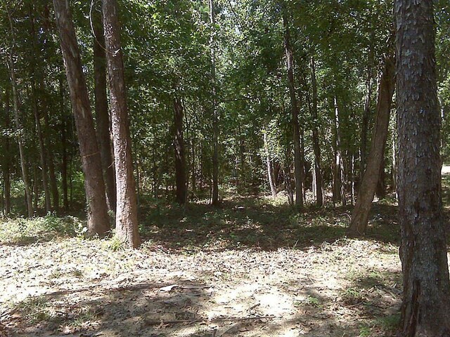 37 Robin Hood, Cleveland, TX 77327 - photo 17