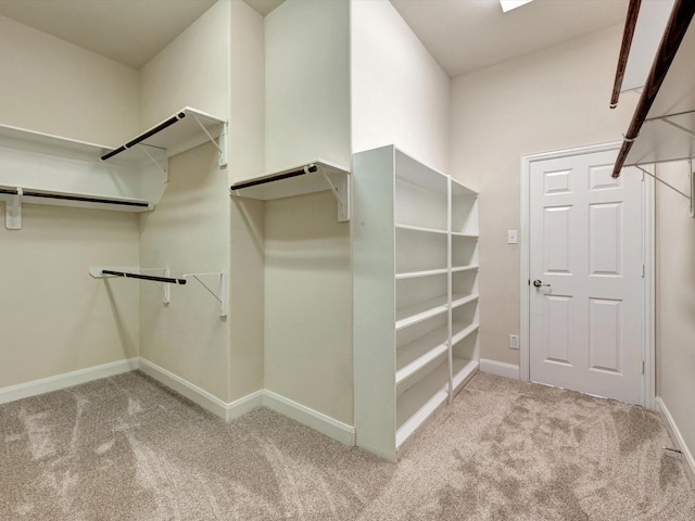 walk in closet featuring carpet floors