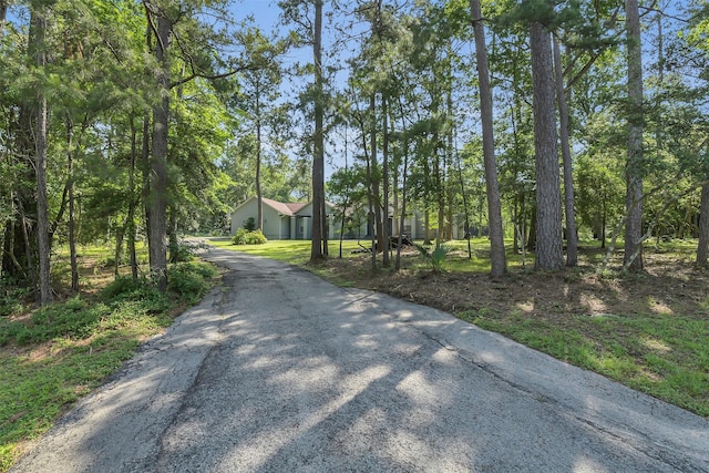 view of asphalt driveway