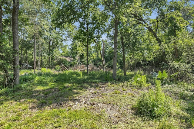 view of undeveloped land