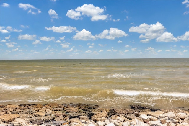3814 Todville Rd, Seabrook, TX 77586 - view of local wilderness featuring a large body of water