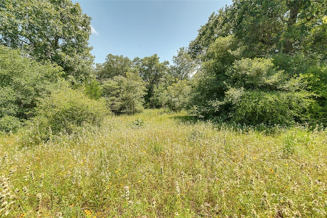 PARCEL19231 County Road 215, Weimar, TX 78962 - photo 3
