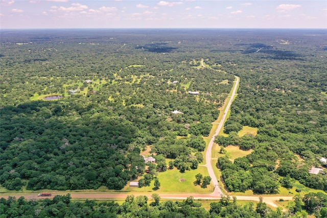 PARCEL19231 County Road 215, Weimar, TX 78962 - photo 10