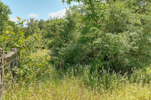 PARCEL19231 County Road 215, Weimar, TX 78962 - photo 17