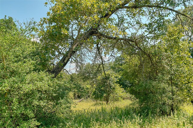 PARCEL19231 County Road 215, Weimar, TX 78962 - photo 18