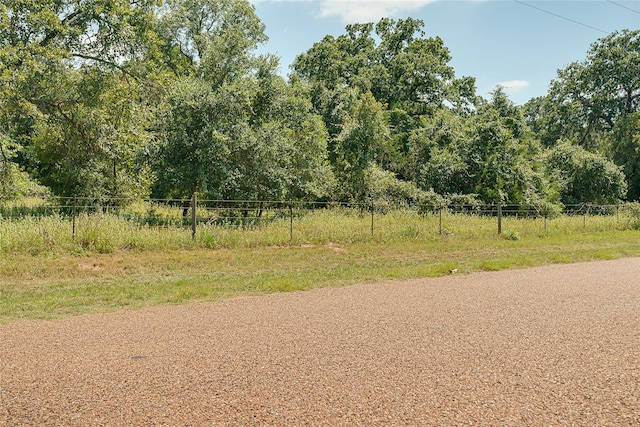 PARCEL19231 County Road 215, Weimar, TX 78962 - photo 23