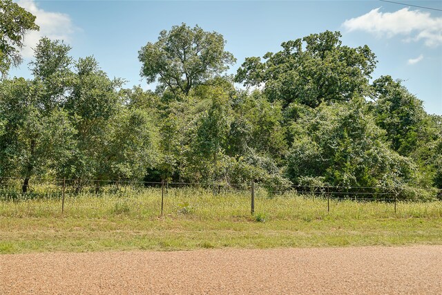 PARCEL19231 County Road 215, Weimar, TX 78962 - photo 26