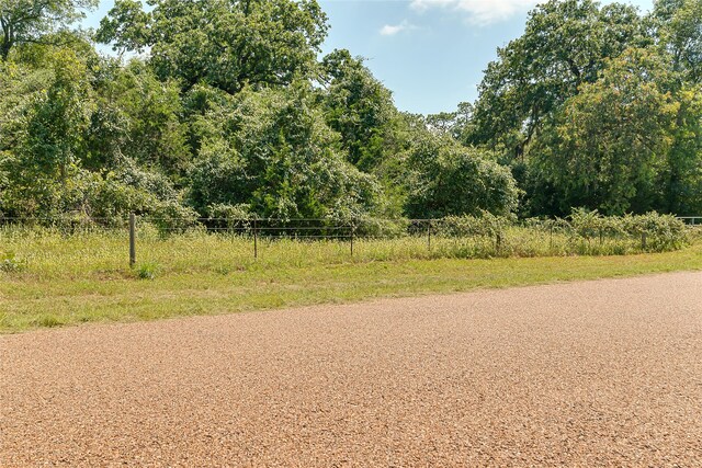 PARCEL19231 County Road 215, Weimar, TX 78962 - photo 27