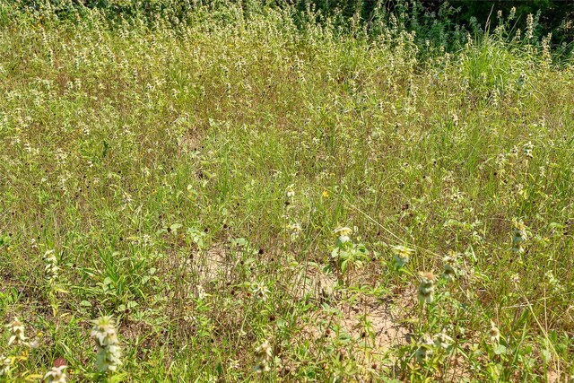 PARCEL19231 County Road 215, Weimar, TX 78962 - photo 30
