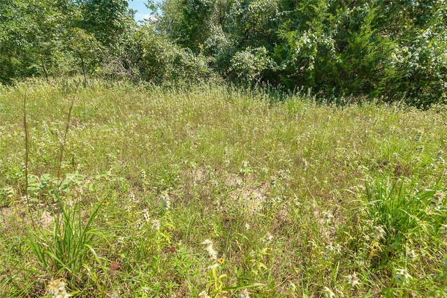 PARCEL19231 County Road 215, Weimar, TX 78962 - photo 31