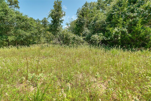 PARCEL19231 County Road 215, Weimar, TX 78962 - photo 32