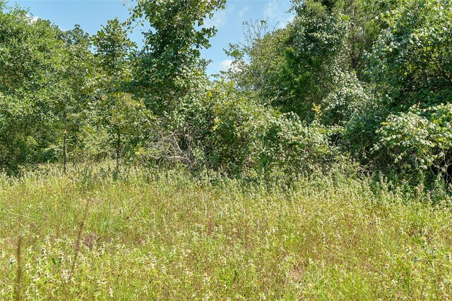 PARCEL19231 County Road 215, Weimar, TX 78962 - photo 33