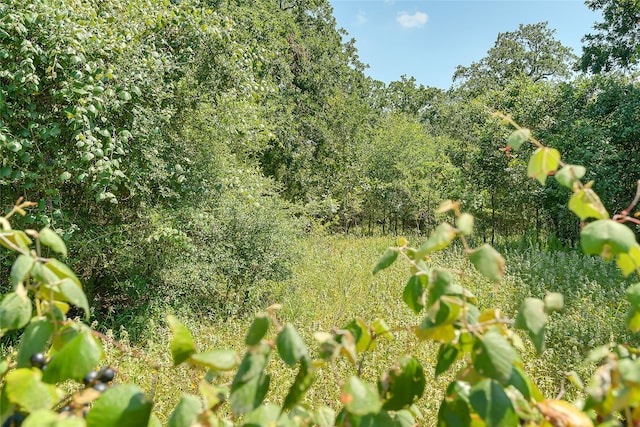 PARCEL19231 County Road 215, Weimar, TX 78962 - photo 35