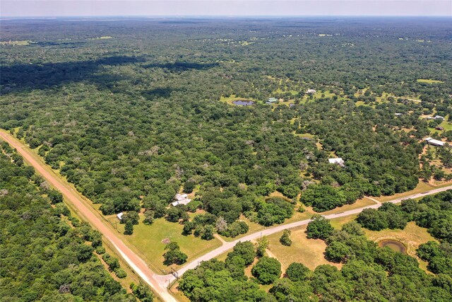 PARCEL19231 County Road 215, Weimar, TX 78962 - photo 13