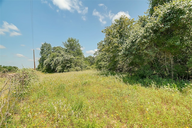 PARCEL19231 County Road 215, Weimar, TX 78962 - photo 15