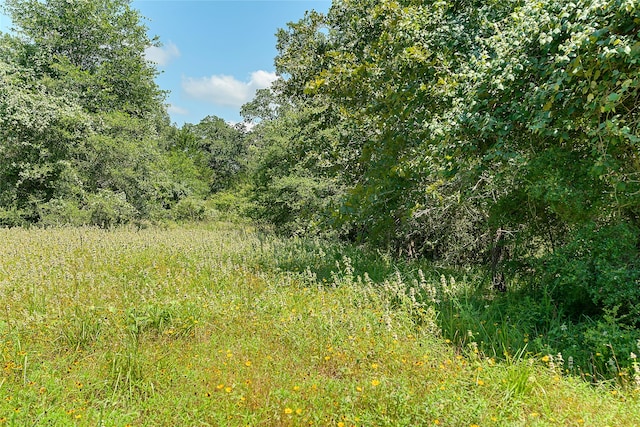 PARCEL19231 County Road 215, Weimar, TX 78962 - photo 2