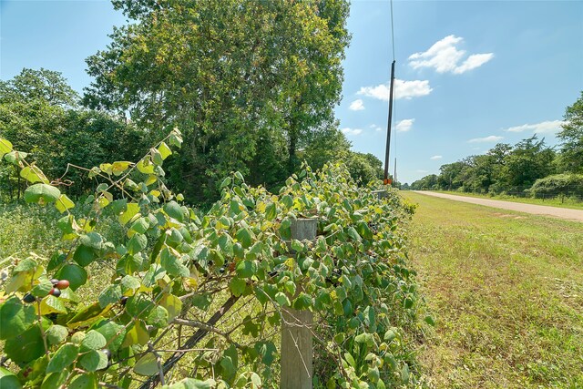 PARCEL19231 County Road 215, Weimar, TX 78962 - photo 37