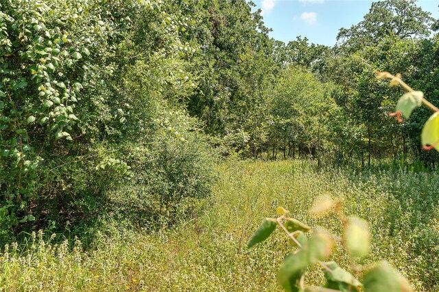 PARCEL19231 County Road 215, Weimar, TX 78962 - photo 39