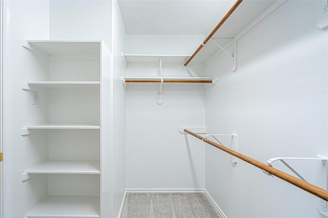 spacious closet featuring carpet