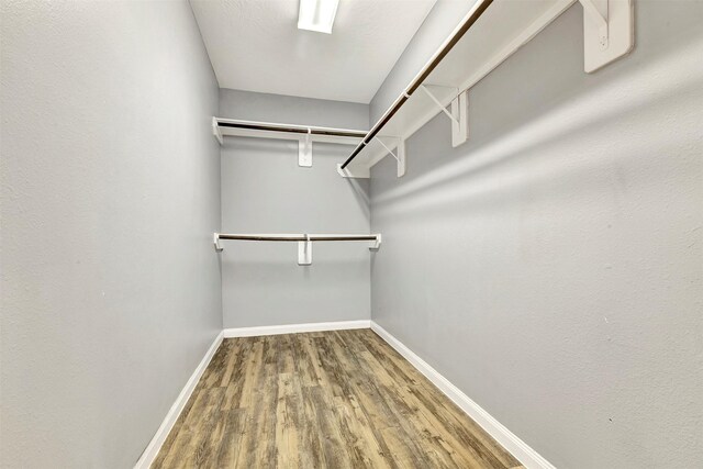 3807 Springcrest Ln, Montgomery, TX 77356 - spacious closet with wood finished floors