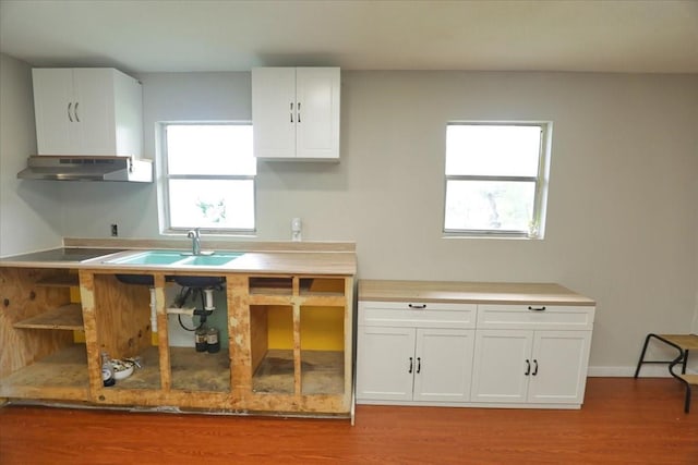 26643 Carol Ln, Splendora, TX 77372 - kitchen with under cabinet range hood, light wood-type flooring, healthy amount of natural light, and white cabinetry