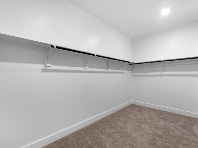 1462 Rd 66114, Dayton, TX 77535 - spacious closet with carpet