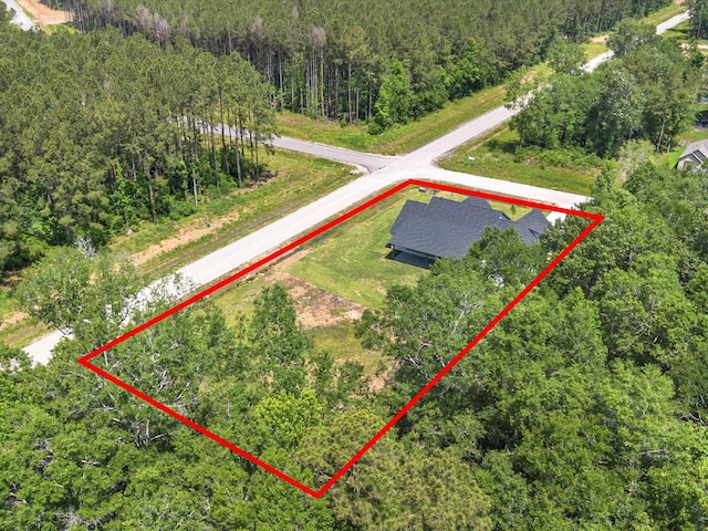 1462 Rd 66114, Dayton, TX 77535 - aerial view of property and surrounding area featuring a forest and property boundaries highlighted
