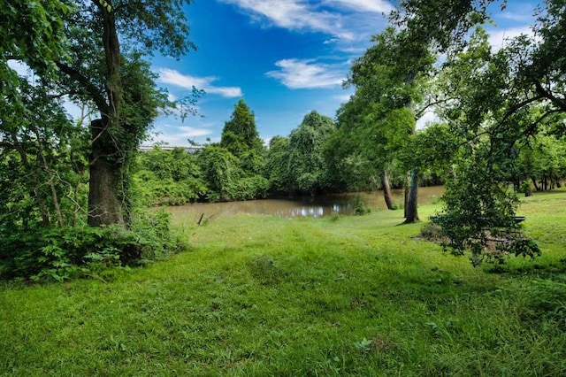524 Oak Dr, Lake Jackson, TX 77566 - view of green lawn