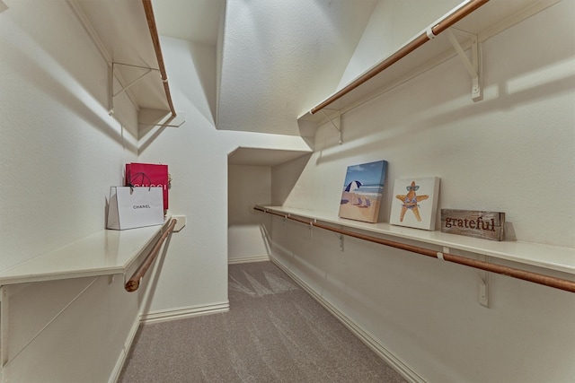 71 Ginger Jar St, The Woodlands, TX 77382 - spacious closet featuring carpet
