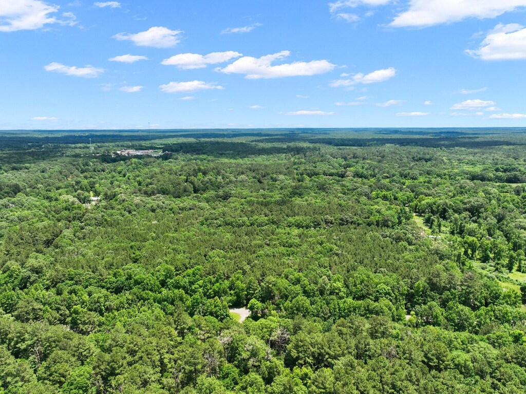 8589 US Highway 59 N, Livingston, TX 77351 - photo 2
