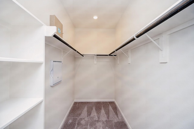 21535 Cypress Trellis Dr, Cypress, TX 77433 - spacious closet with carpet floors