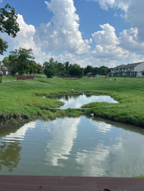 LOT14 Paradise Ln, Montgomery, TX 77356 - photo 17