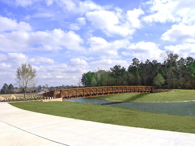211 Clementine Ct, Montgomery, TX 77316 - view of property's community featuring a lawn