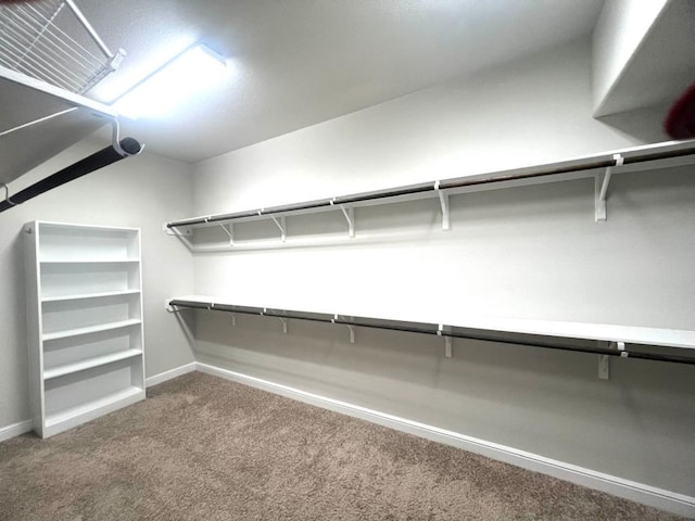 4923 Lacebark Pine Trl, Rosenberg, TX 77471 - walk in closet with carpet