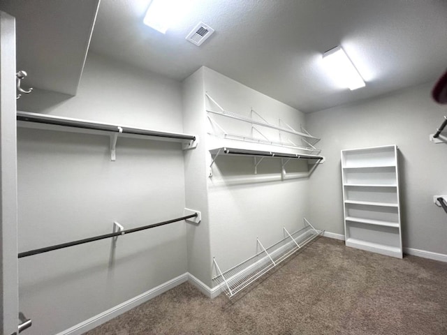 4923 Lacebark Pine Trl, Rosenberg, TX 77471 - walk in closet with carpet