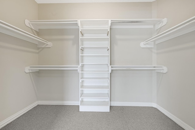 1207 S Diamondhead Blvd, Crosby, TX 77532 - walk in closet featuring carpet flooring
