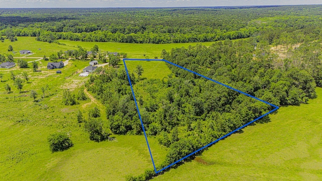 TBD Denson Allen Rd, Coldspring, TX 77331