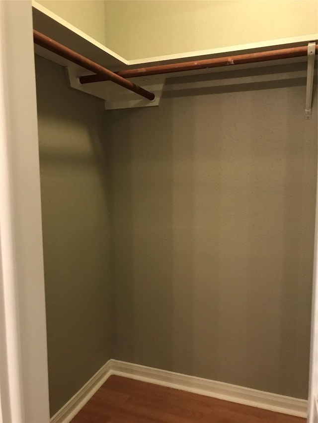 spacious closet featuring dark wood-style flooring