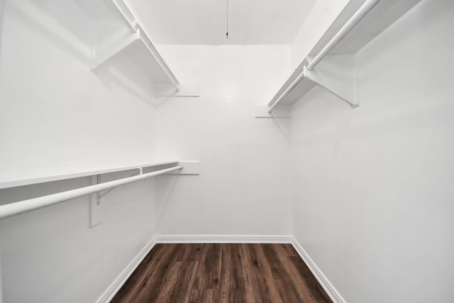 walk in closet featuring dark wood-type flooring