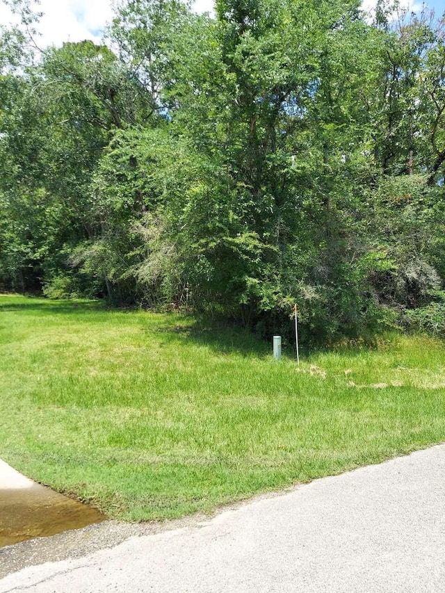 TBD Whisperwood Dr, Onalaska, TX 77360