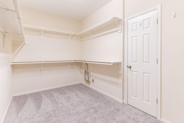 spacious closet with carpet flooring