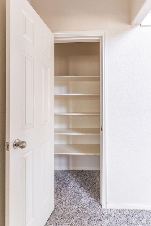 13907 Falling Rain Ct, Cypress, TX 77429 - view of closet