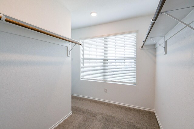 11072 N Lake Mist Ln, Willis, TX 77318 - photo 33