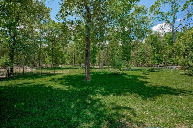 8946 Catamaran Way, Montgomery, TX 77316 - view of yard