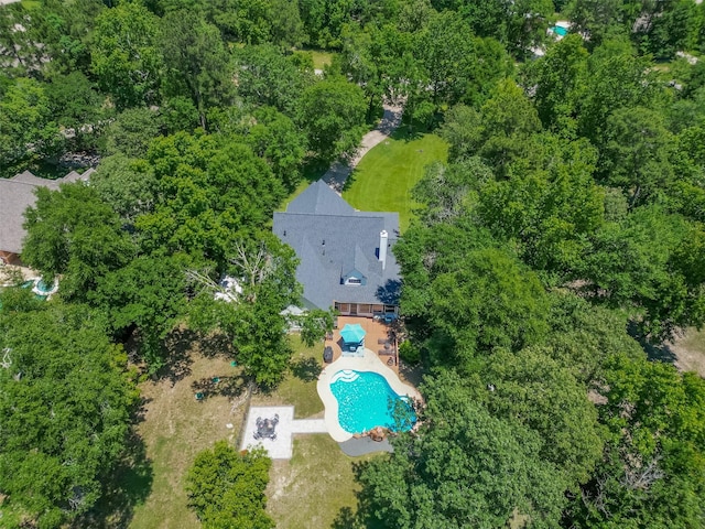 8946 Catamaran Way, Montgomery, TX 77316 - bird's eye view of a pool area