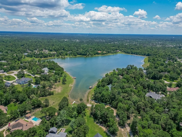 8946 Catamaran Way, Montgomery, TX 77316 - aerial view of property's location with a forest and a nearby body of water