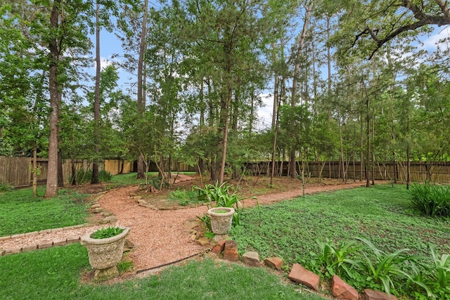3706 Skyoak Ct, Spring, TX 77386 - view of yard